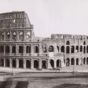 Colosseum with horse and cart, Rome Italy