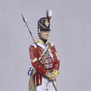 Colour Sergeant - 37th Regiment of Foot