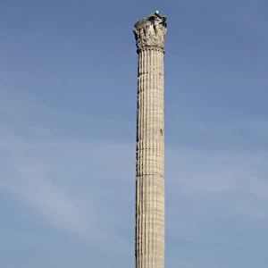 Column of Phocas. Roman Forum. Italy