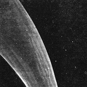 Comet of 1811 / Mag. Pitt
