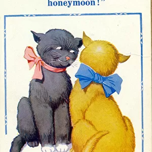 Comic postcard, Two cats discuss their honeymoon Date: 20th century