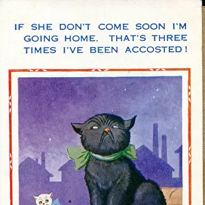 Comic postcard, Two cats on a roof at night Date: 20th century