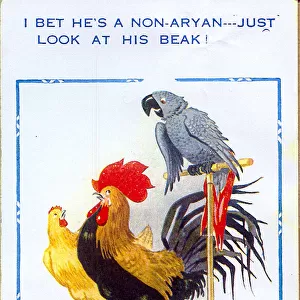 Comic postcard, Cockerel, hen and parrot