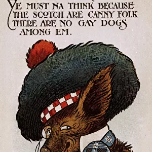 Comic postcard, dog in Scottish costume