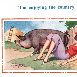 Comic postcard, Pretty young woman and pig
