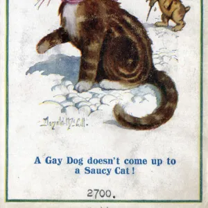 Comic postcard, Saucy cat and gay dog, WW1 Date: circa 1918