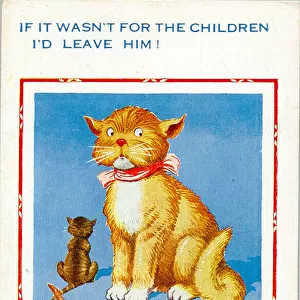 Comic postcard, Unhappy mother cat with kittens Date: 20th century