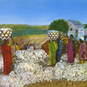 Commonwealth Instiute - Diorama - Cotton growing in India