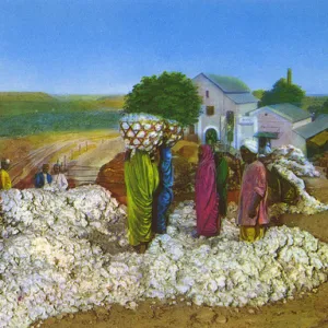 Commonwealth Instiute - Diorama - Cotton growing in India