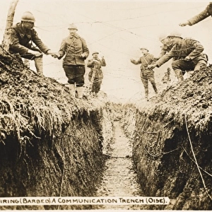 Communications trench WWI