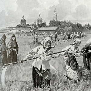 A convent in Novgorod: Nuns making hay
