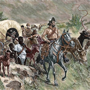 A convoy of Boers. Engraving, 19th century. Colored