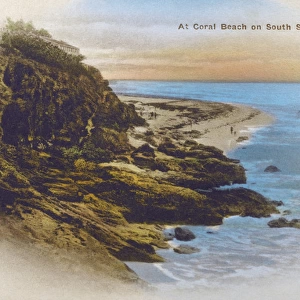 Coral Beach - South Shore, Bermuda - Western Atlantic