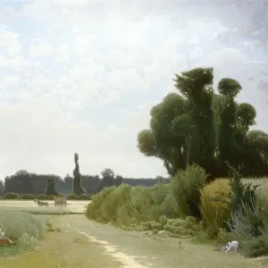 The Cornfields in Summer, by Henri Taurel The Cornfields in Summer, by Henri Taurel