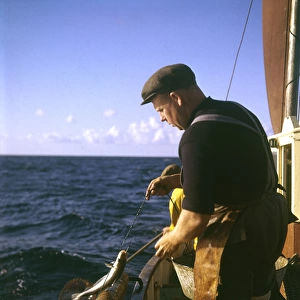 Cornish fishermen at sea
