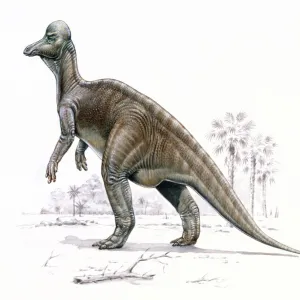 Corythosaurus