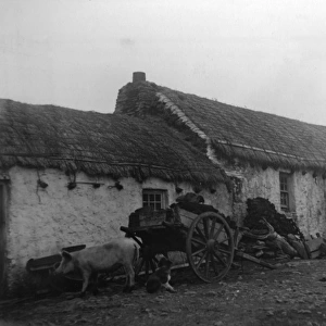 Cottage in County Donegal, north-west Ireland