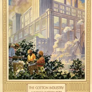 The Cotton Industry, a Romance of Modern Work