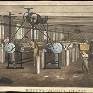 Cotton Processing