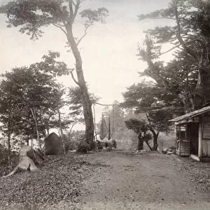 Country scene, Japan, c. 1890 s