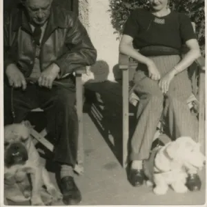 Couple in garden chairs with two dogs