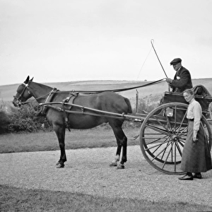 Couple with horse-drawn trap