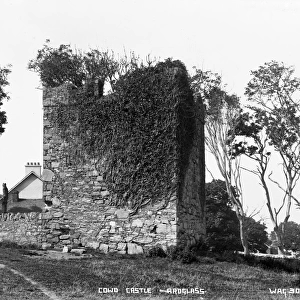 Cowd Castle, Ardglass