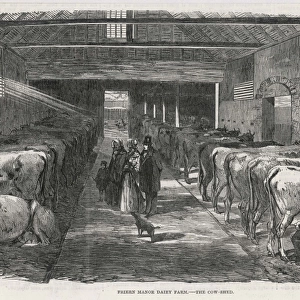 COWSHED, 1853