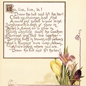 Crocus flowers, Crocus sativus, and calligraphic poem