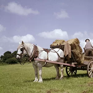 Crofters with horse and cart, Barra, Outer Hebrides