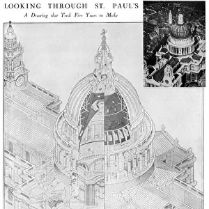Cross-section of St. Pauls Cathedral