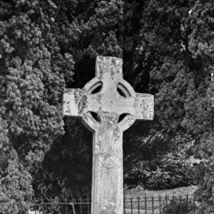Cross in Yew Terrace, Tynan Abbey