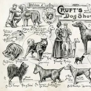 Crufts Dog Show - dogs and owners