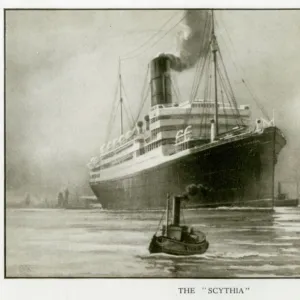 The Cunard Liner RMS Scythia