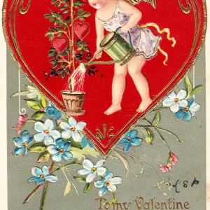 Cupid watering red hearts on a Valentine postcard