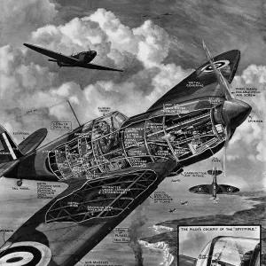 Cutaway Diagram of a Supermarine Spitfire