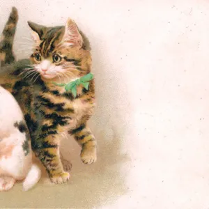 Cute puppy and kitten on a greetings postcard