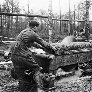 Cutting log at new sawmill, Western Front, WW1