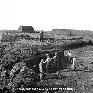 Cutting the Turf in a Co. Derry Peat Bog