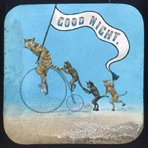 Cycling Cats Good Night