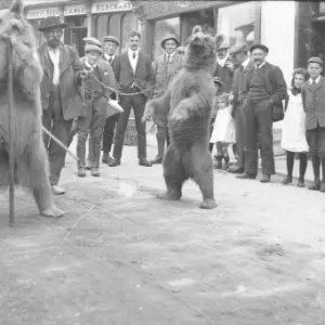 Dancing bears in the High Street, Crickhowell, Mid Wales