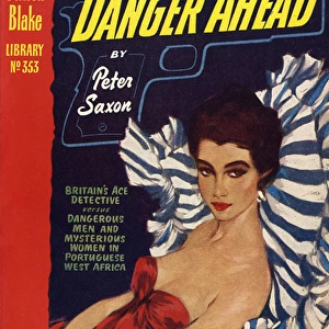 Danger Ahead - Cover by David Wright