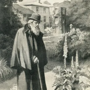 Darwin in his garden