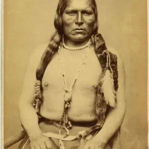 David Frances Barry photo - Chief Bull Head