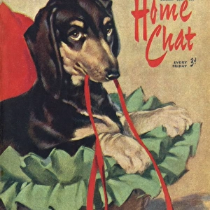 David Wright Home Chat calendar 1950 featuring dachshund