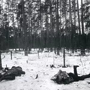 Dead Russian soldiers at Augustowo, WW1