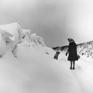 Deep snowdrifts near Crediton, Devon