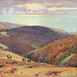 Deer Hunt on Exmoor