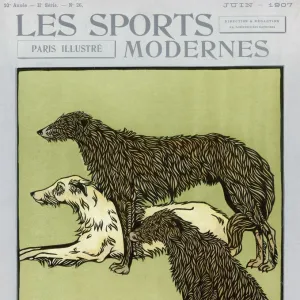 Deerhounds on Cover