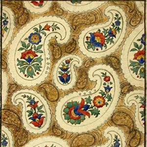Design for Printed Textile with paisley pattern